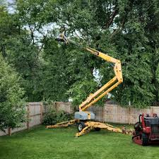 Leaf Removal in Lake Elsinore, CA