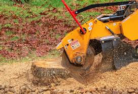 Best Tree Mulching  in Lake Elsinore, CA
